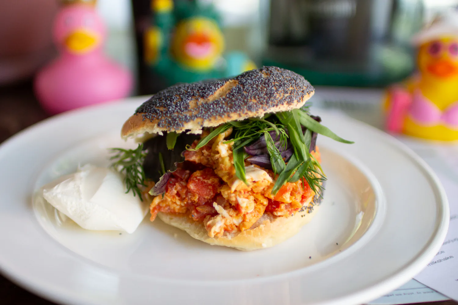 Armenian scrambled eggs with tomato and herbs on a poppy-seed bagel