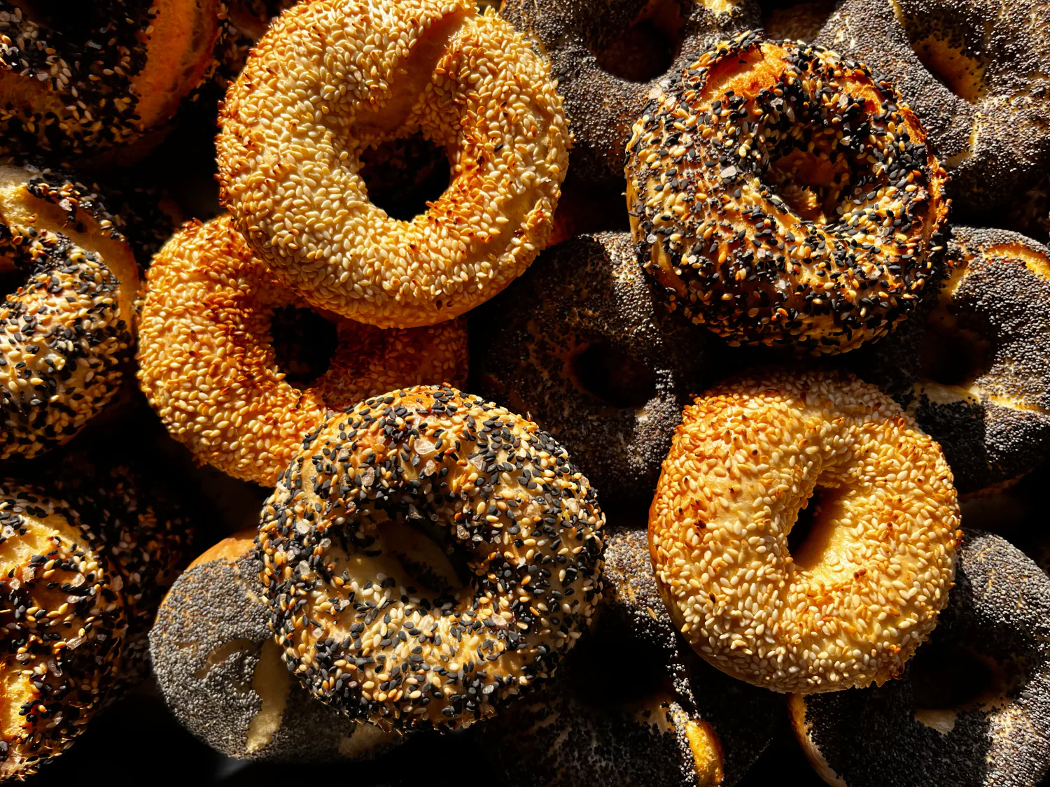 Fresh sesame, poppy-seed, and everything bagels