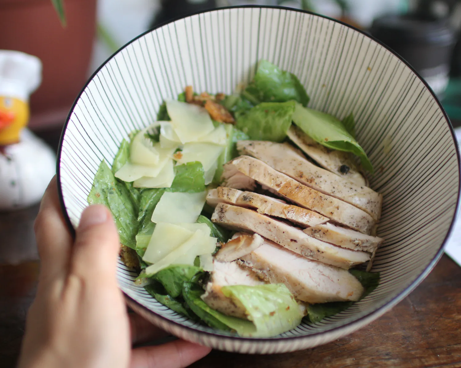 Chicken and cheese salad with leafy greens