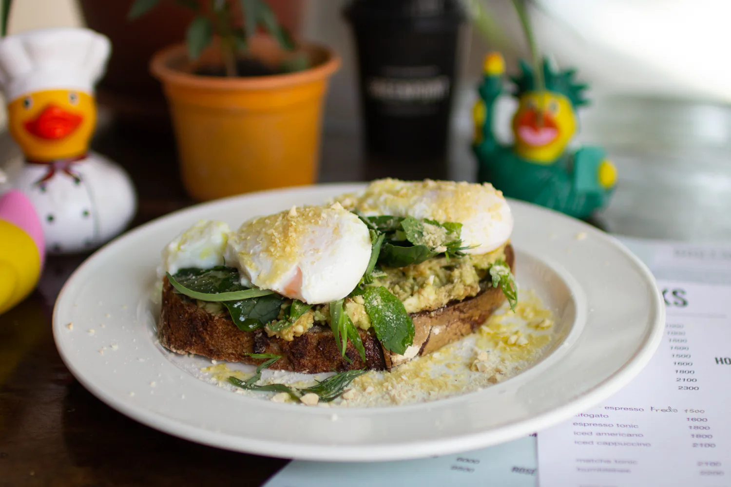 Poached eggs on avocado toast with fresh herbs